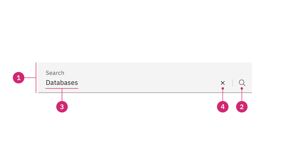 Fluid search anatomy